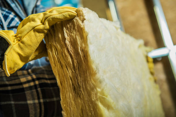 Best Insulation Installation Services in Highland Acres, DE